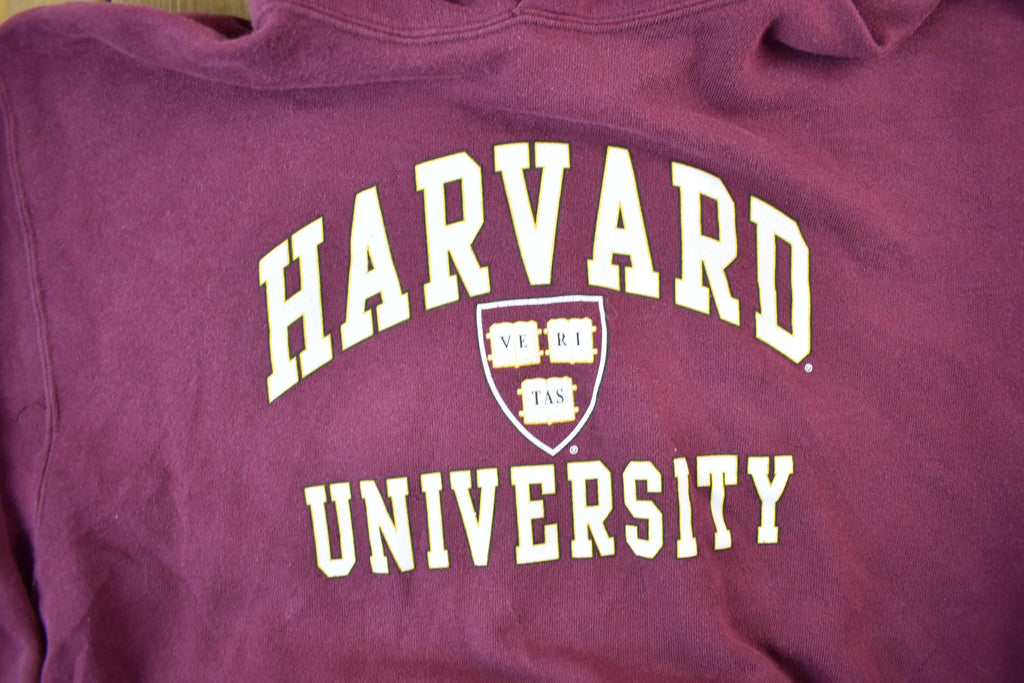 Vintage 1990s Harvard University Collegiate Hoodie  Harvard Sweatshirt  Sportswear  Americana  90s Harvard  Made In USA