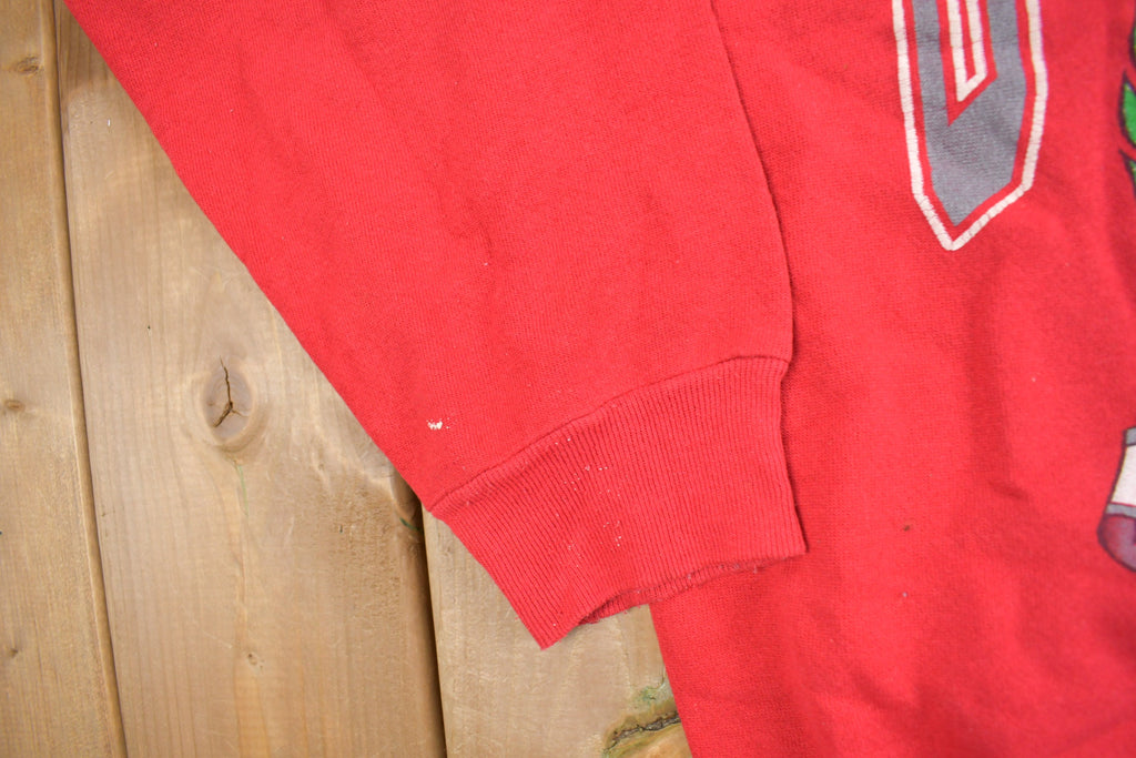 Vintage 1991 Ohio State University Collegiate Crewneck