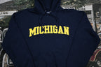 Vintage 1990s University Of Michigan Wolverines NCAA Hoodie  Vintage NCAA Sweater  Varsity Print  80s  90s  Athletic Pull Over