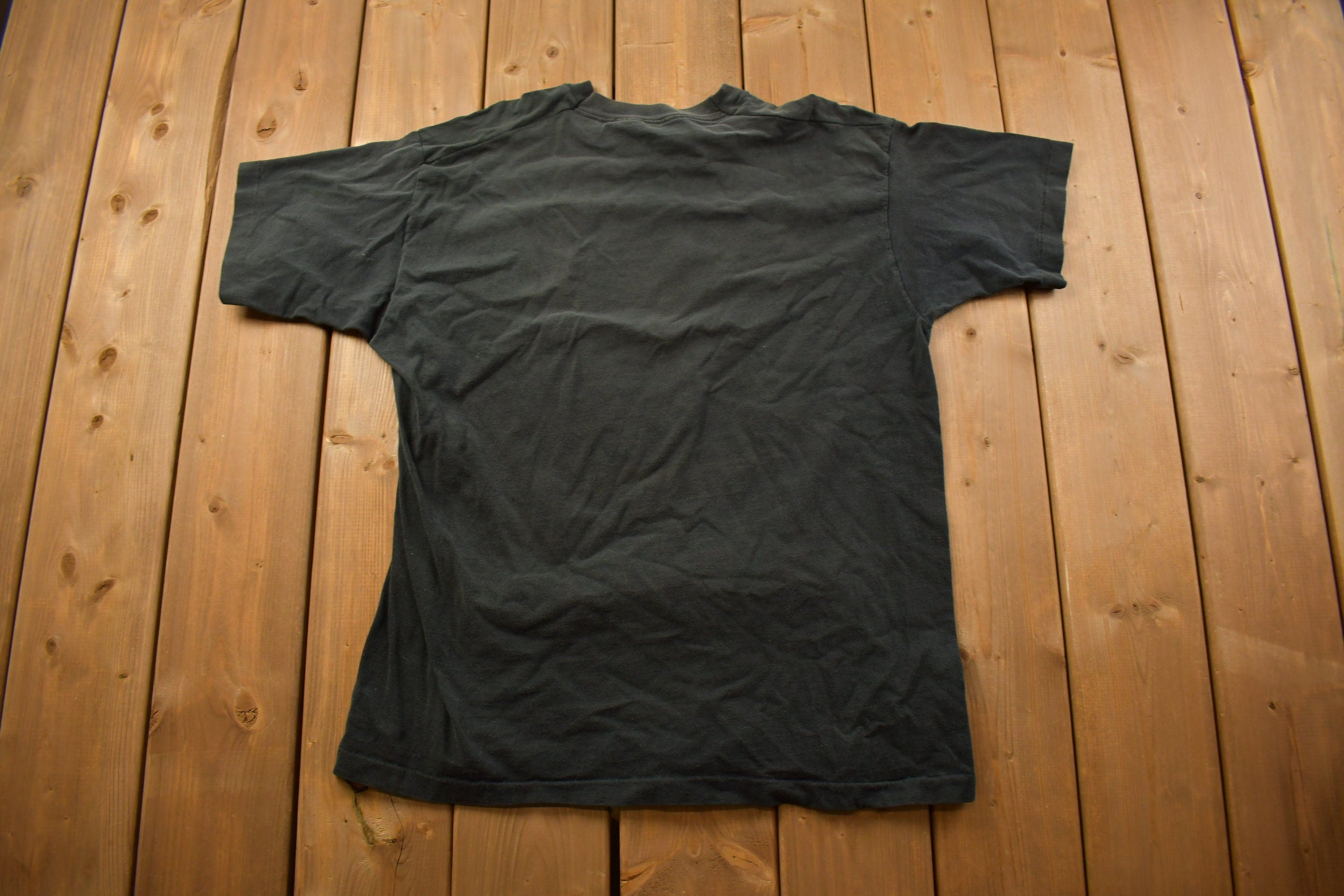 Vintage 1993 Grand Rapids Thunderhawks Graphic T Shirt