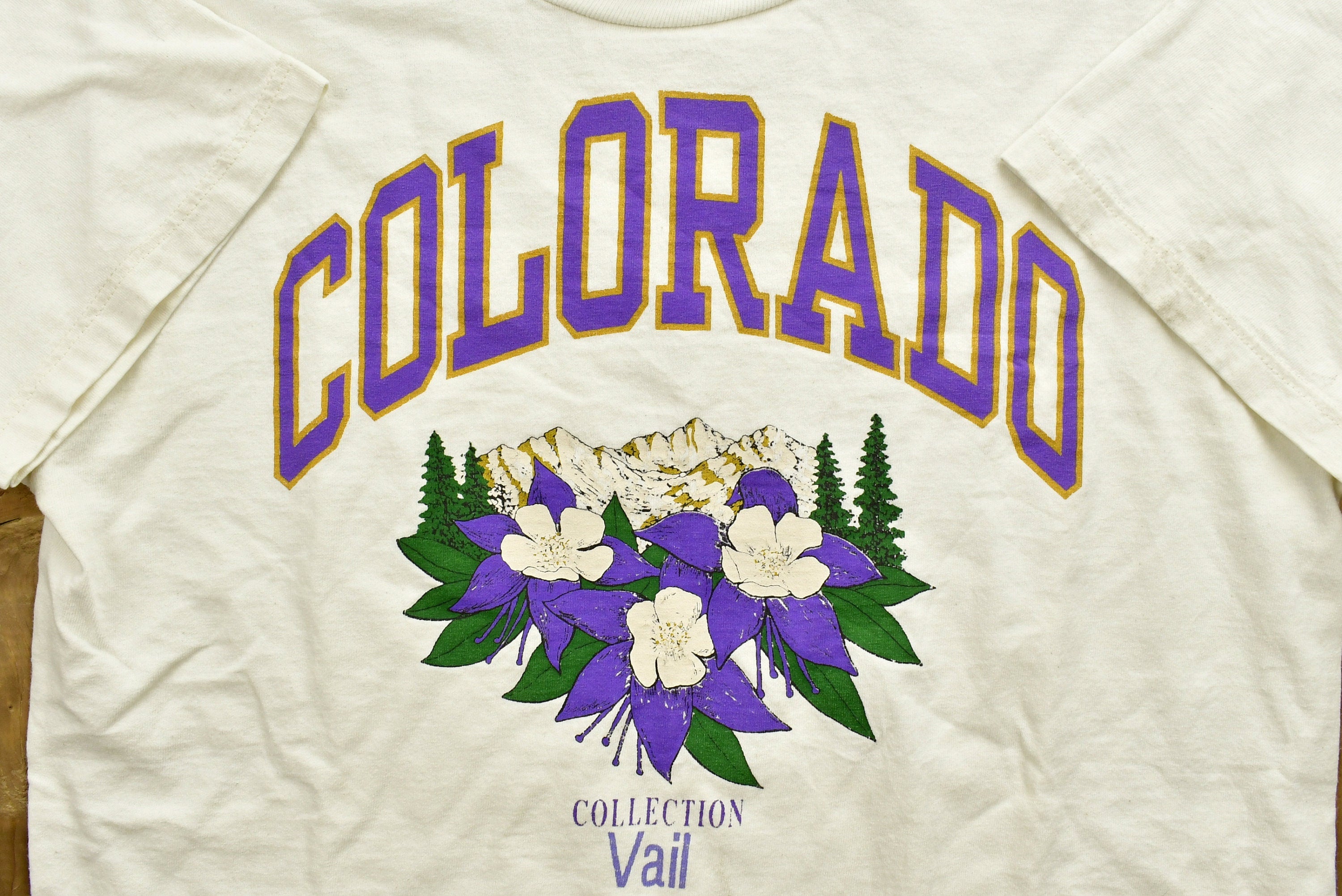 Vintage 1990s Colorado Collection Vail T-Shirt