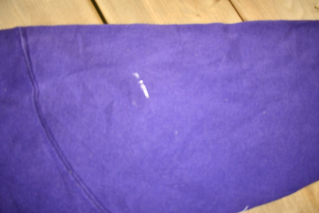 Vintage 1980s Bowling Green High School Purples Graphic Hoodie Made In USA