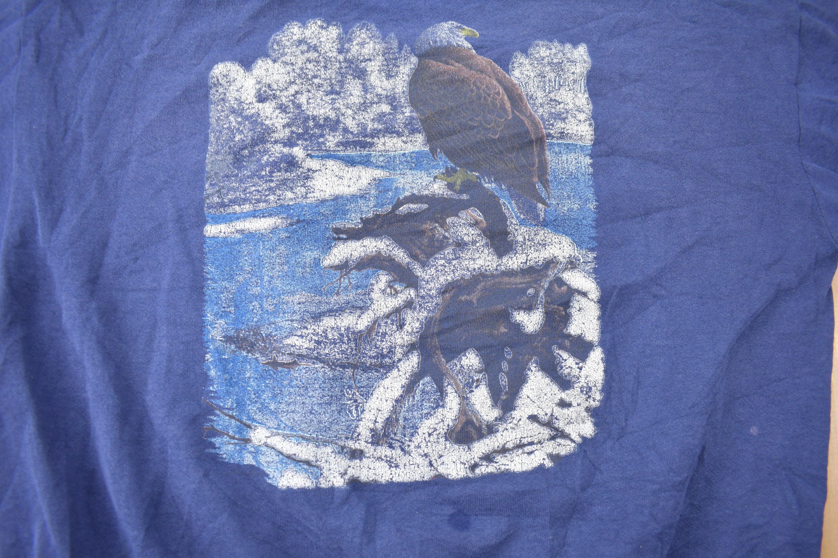 Vintage 1990s American Wilderness Bald Eagle Graphic Crewneck Sweatshirt