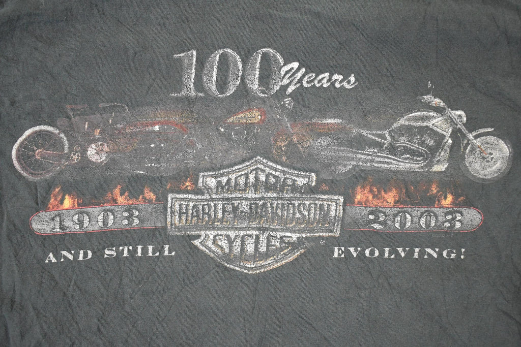 Vintage Y2K Arrowhead Harley Davidson Motorcycles 100th Anniversary Biker T-Shirt Men's M