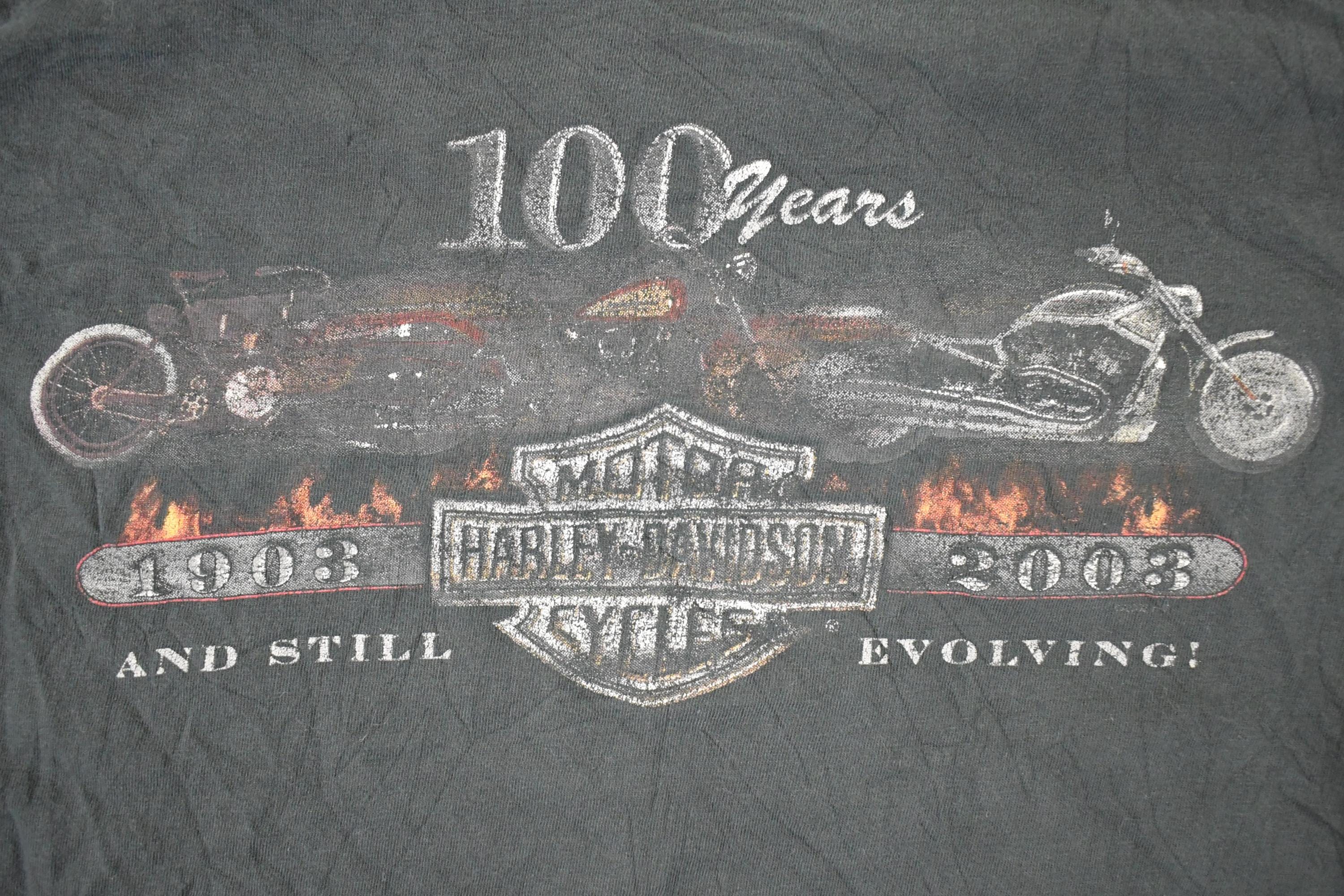 Vintage Y2K Arrowhead Harley Davidson Motorcycles 100th Anniversary Biker T-Shirt Men's M