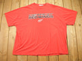 Vintage 1990s Detroit Red Wings NHL Hockey Graphic T Shirt  Red Wings T Shirt  Lee Sport  Streetwear Fashion  Sportswear