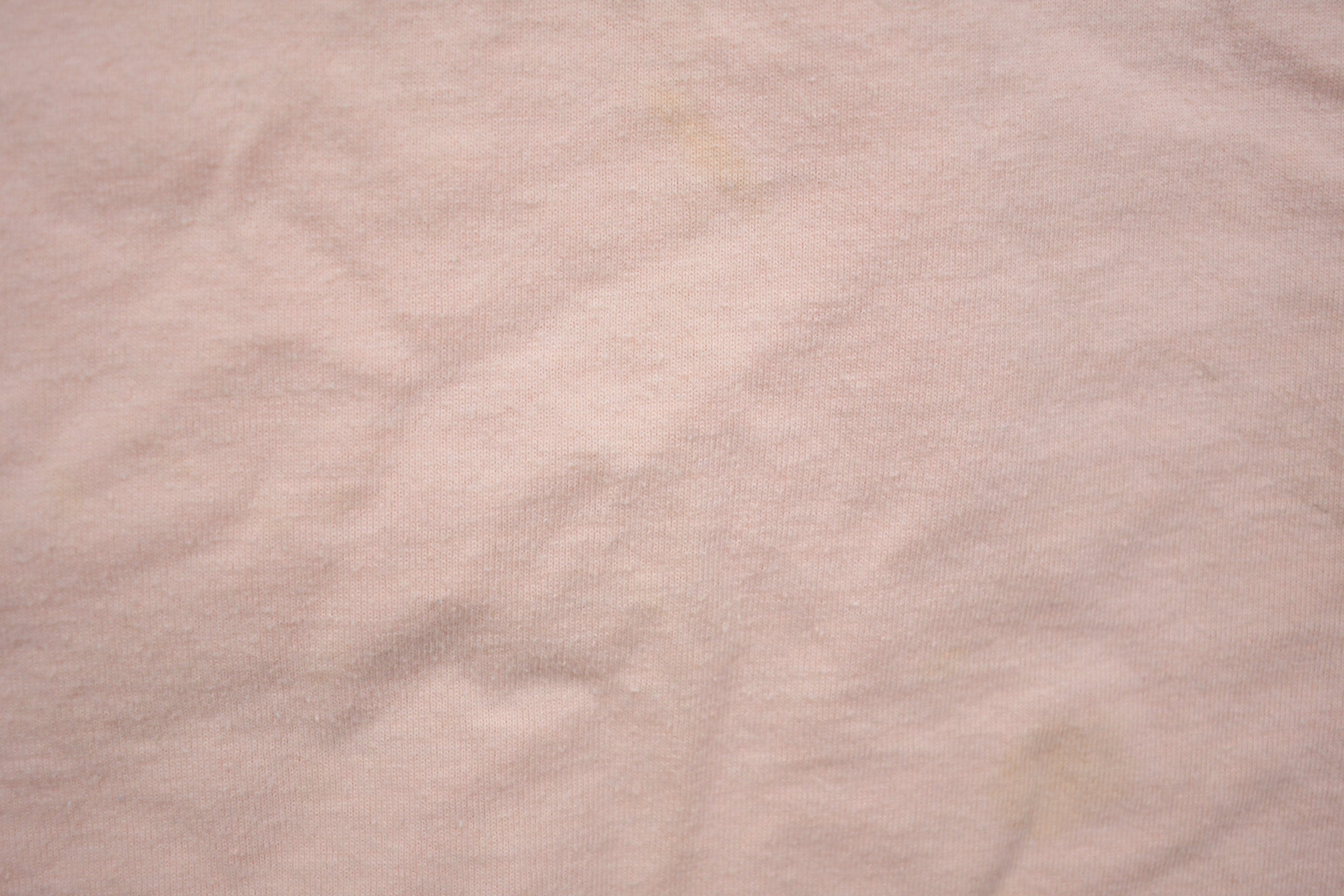 Vintage 1990s Woolrich Blanchard Plant T-Shirt