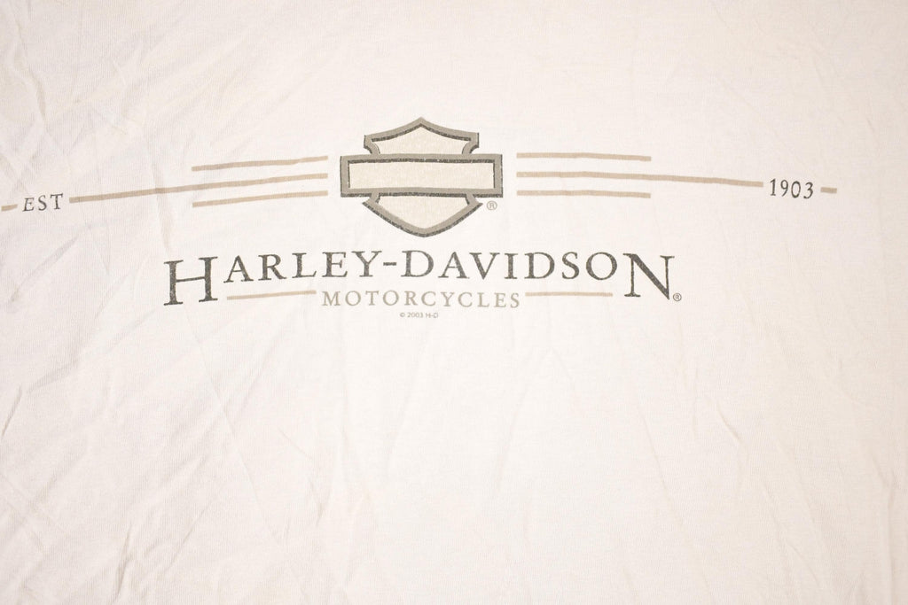 Vintage Y2K Alaska Harley Davidson Motorcycles Biker T-Shirt Men's L