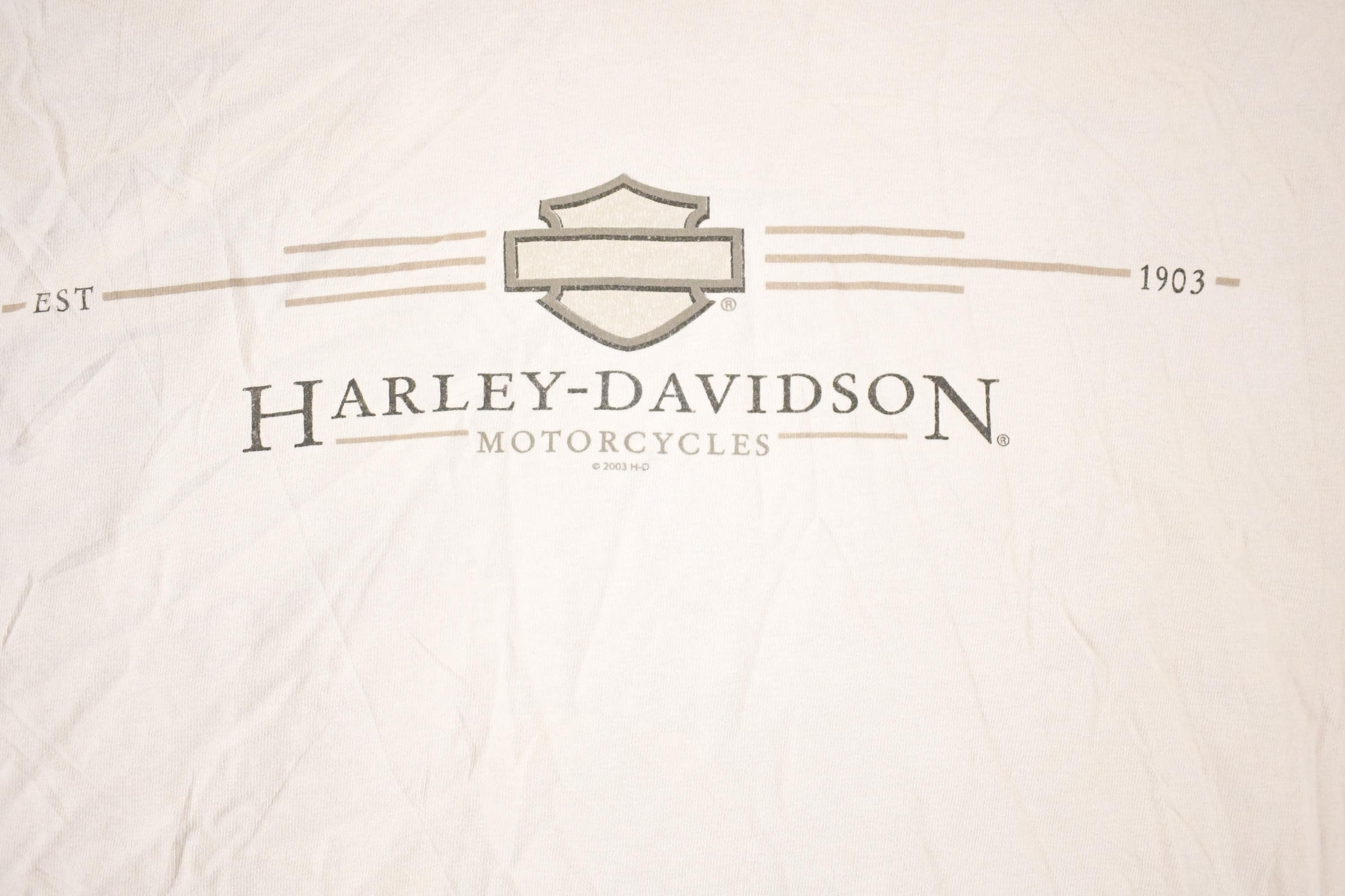 Vintage Y2K Alaska Harley Davidson Motorcycles Biker T-Shirt Men's L