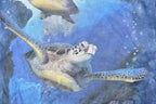 Vintage 1990s Turtle Ocean Theme The Mountain Single Stitch Graphic
