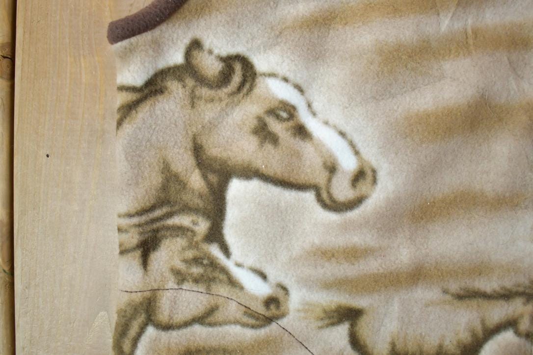 Vintage 1990s Created By Wanda Wild Horses All Over Print Fleece Sweater