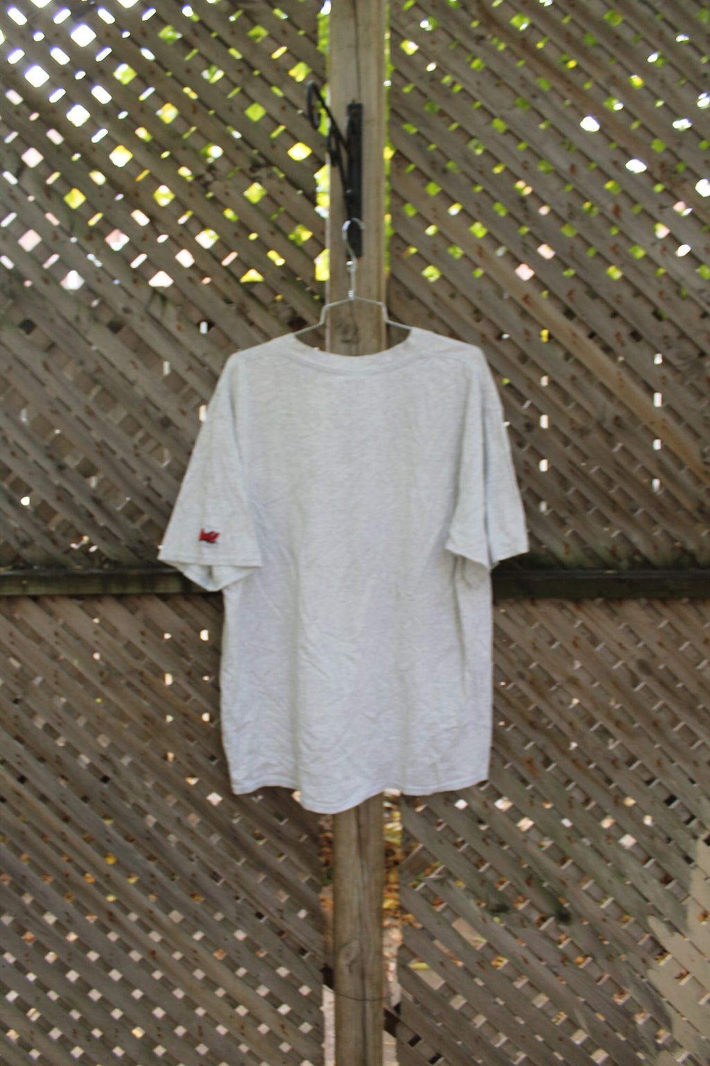Vintage 1994 ZWI Graphic T-Shirt