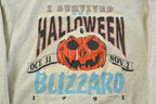 Vintage 1990s I Survived Halloween Blizzard Crewneck Sweatshirt Mens XL  90s Crewneck  Halloween Pumpkin Sweater  Made in USA