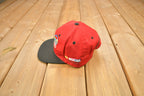 Vintage 2000 Daytona 500 Nascar Snap Back Hat