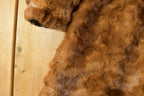 Vintage 1970s Albrecht Furs Full Length Brown Mink Fur Coat Adult M