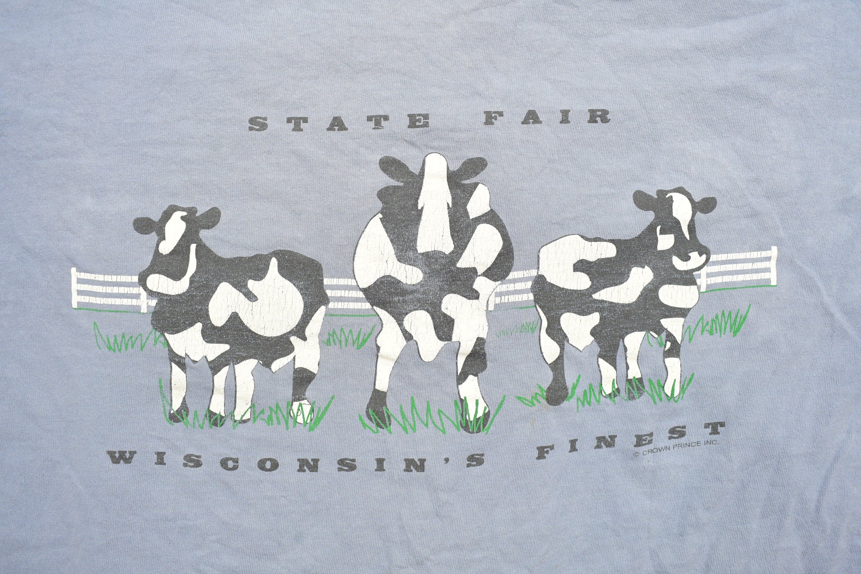 Vintage 1990s Wisconsin State Fair Souvenir T Shirt