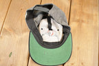 Vintage Y2K Youth Batman The Animated Series Comic Book Snapback Hat / 2000's Embroidered Cap