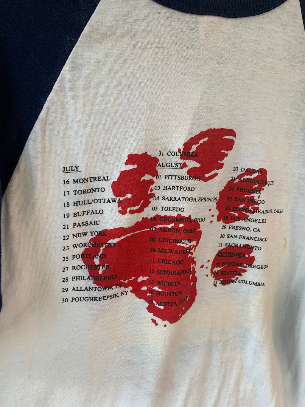 Animals Raglan