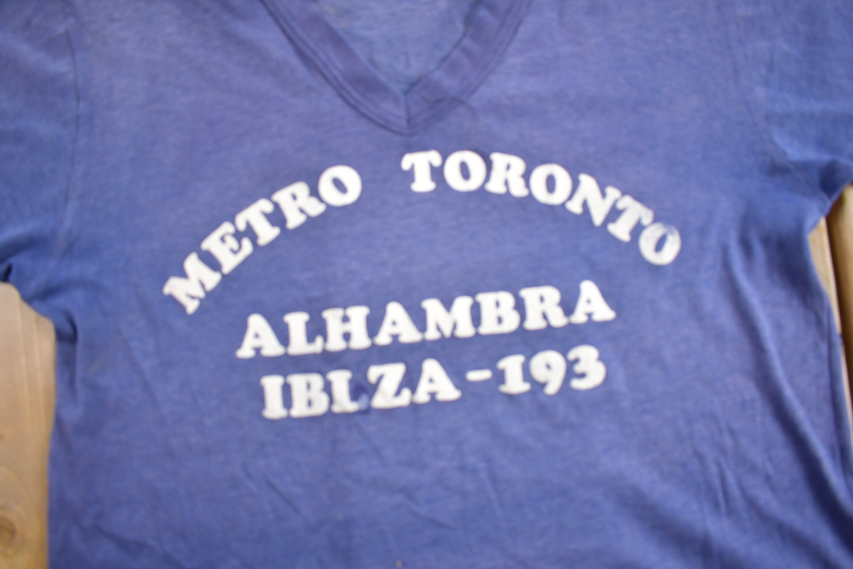 Vintage 1970s Toronto Alhambra Iblza-193 Graphic T-Shirt
