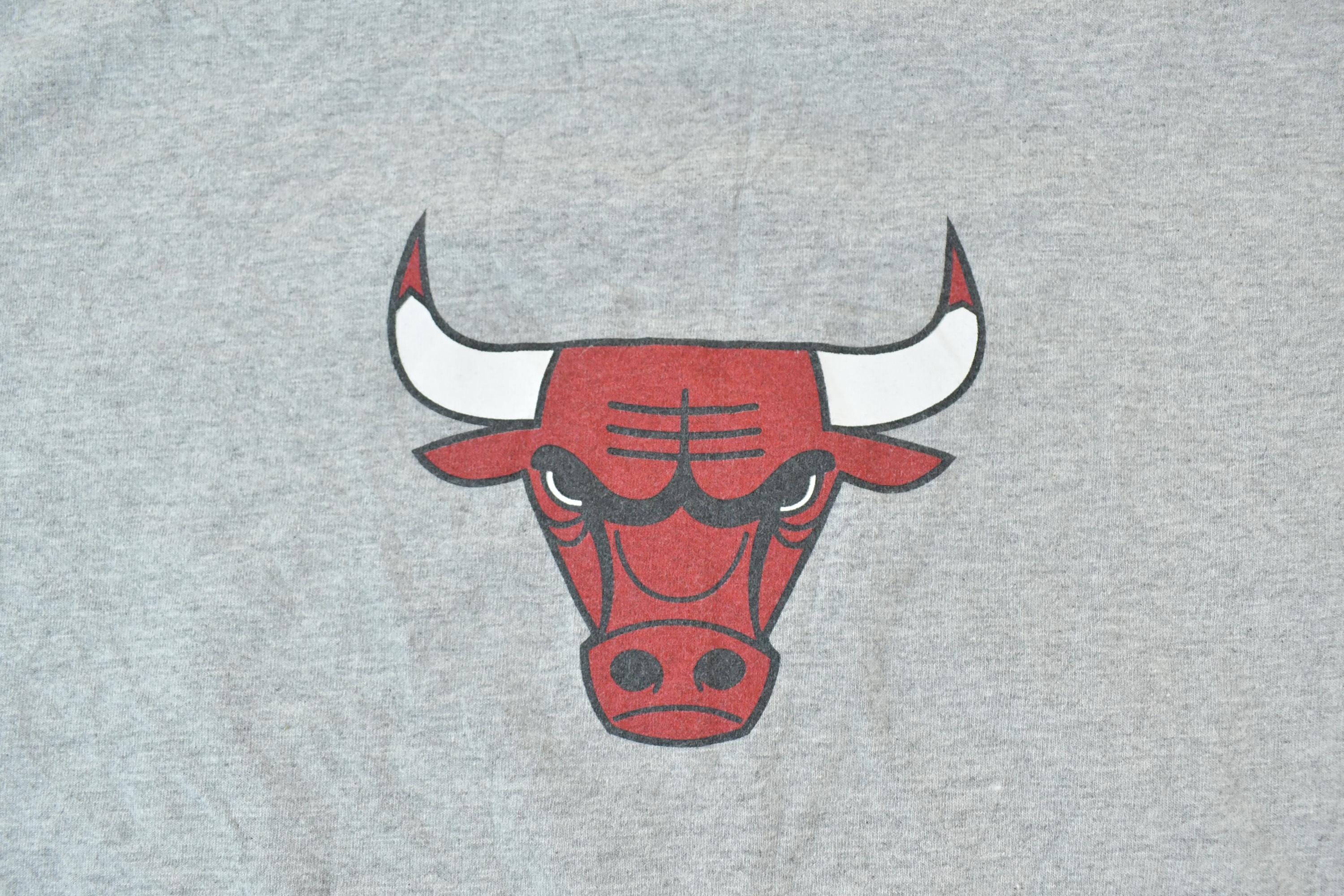 Vintage 1990s Nike Chicago Bulls NBA Graphic T-Shirt