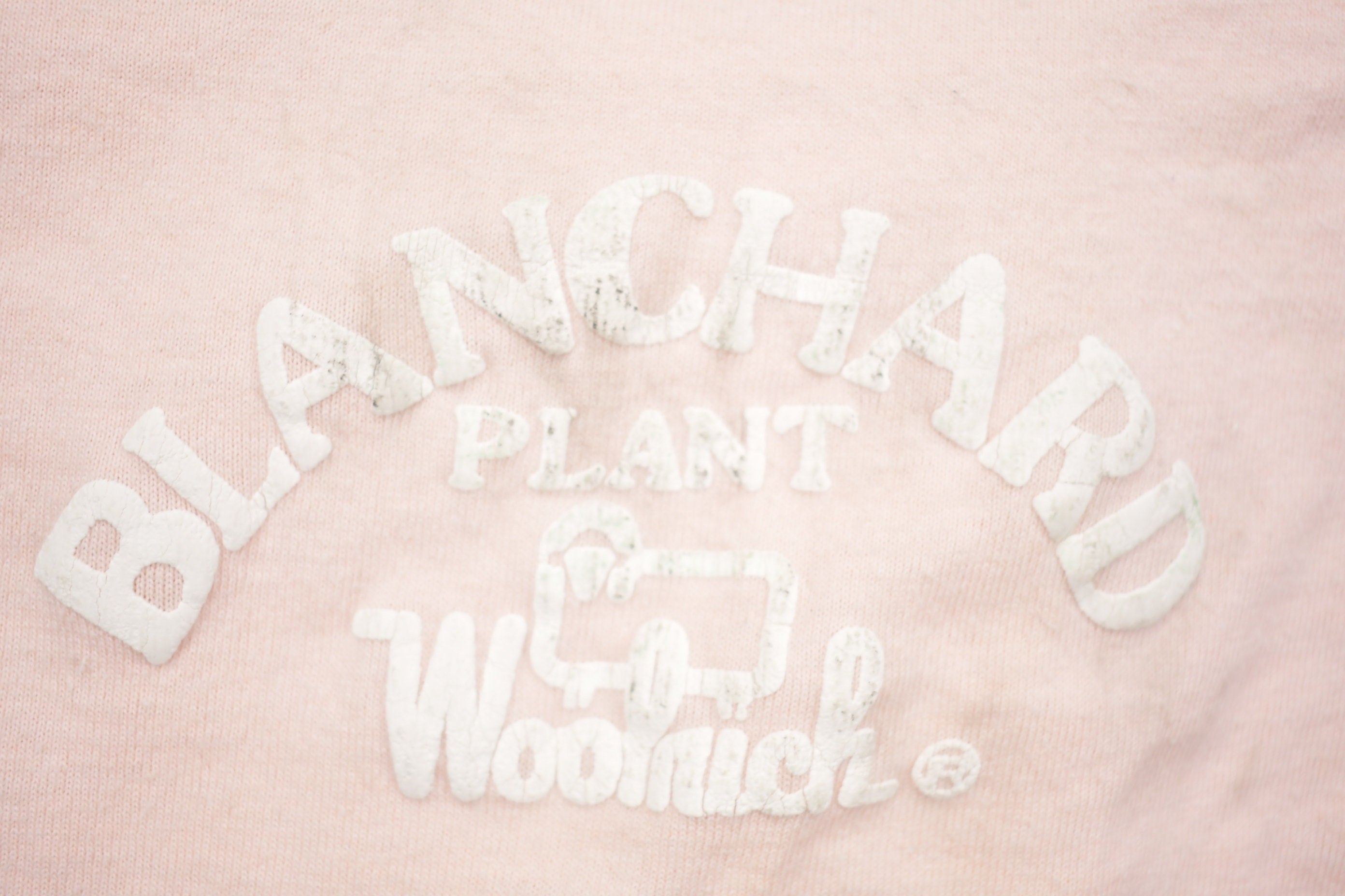 Vintage 1990s Woolrich Blanchard Plant T-Shirt