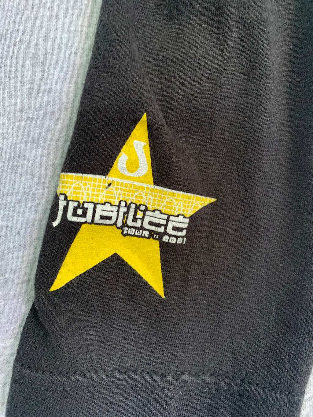 Vintage 2001 Jane's Addiction Raglan