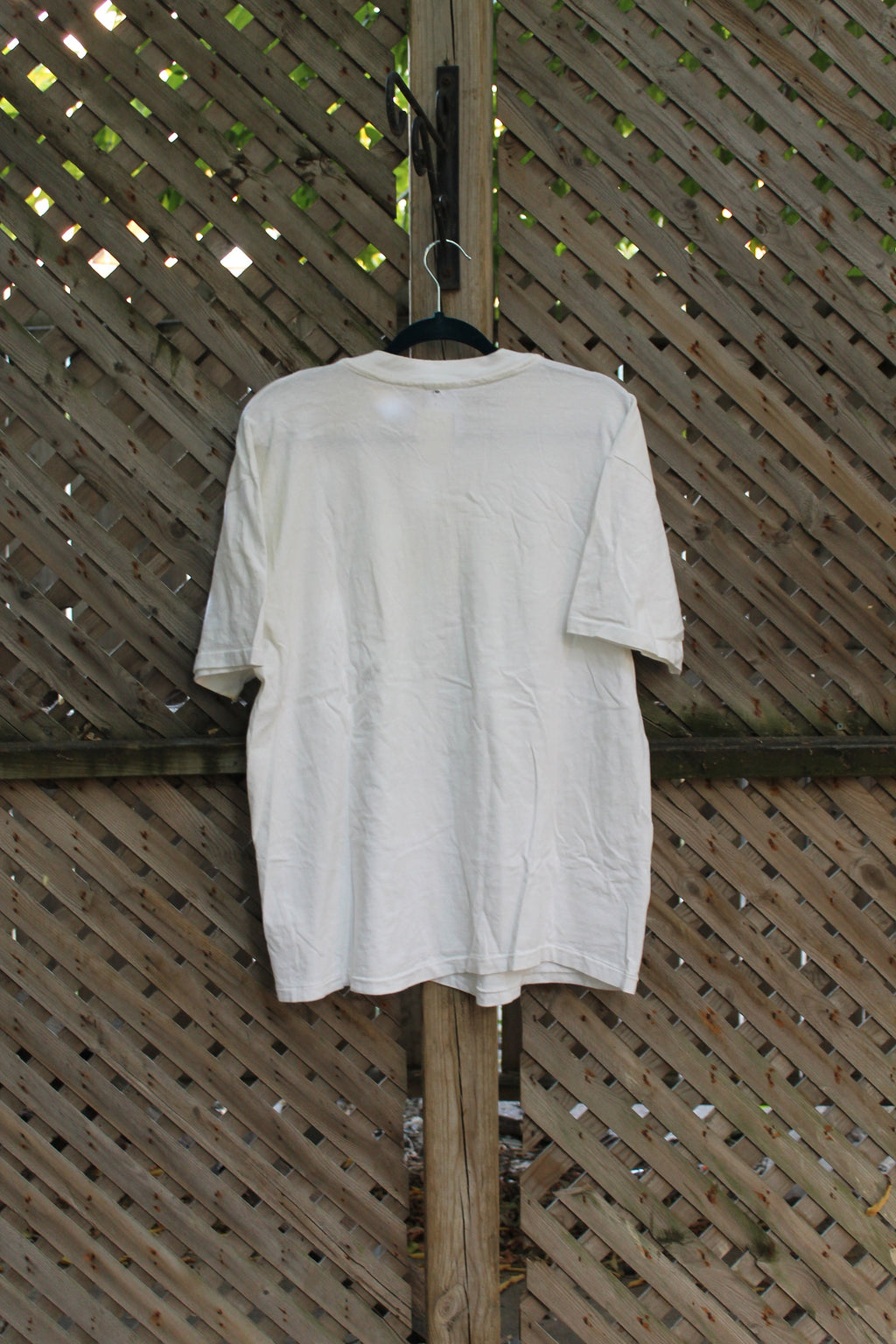 Vintage 1990s Rawlins Cross Living River T-Shirt