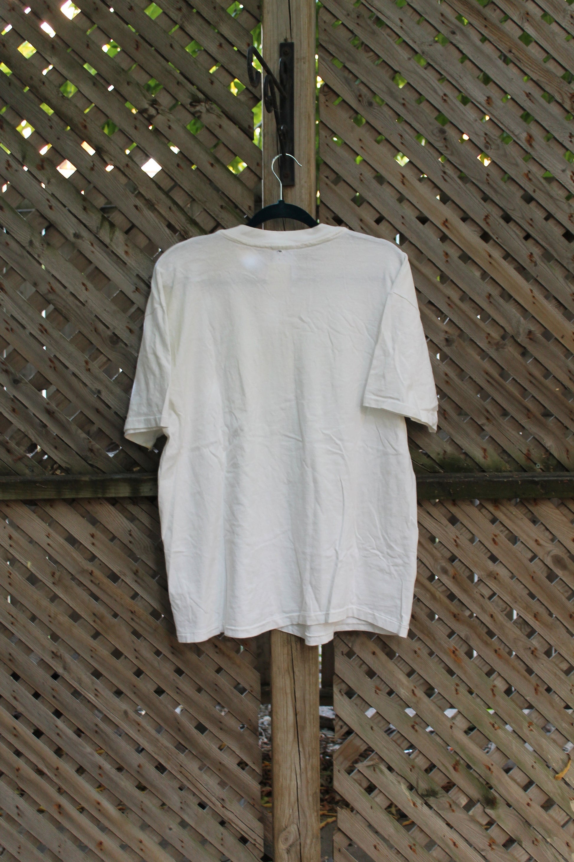 Vintage 1990s Rawlins Cross Living River T-Shirt