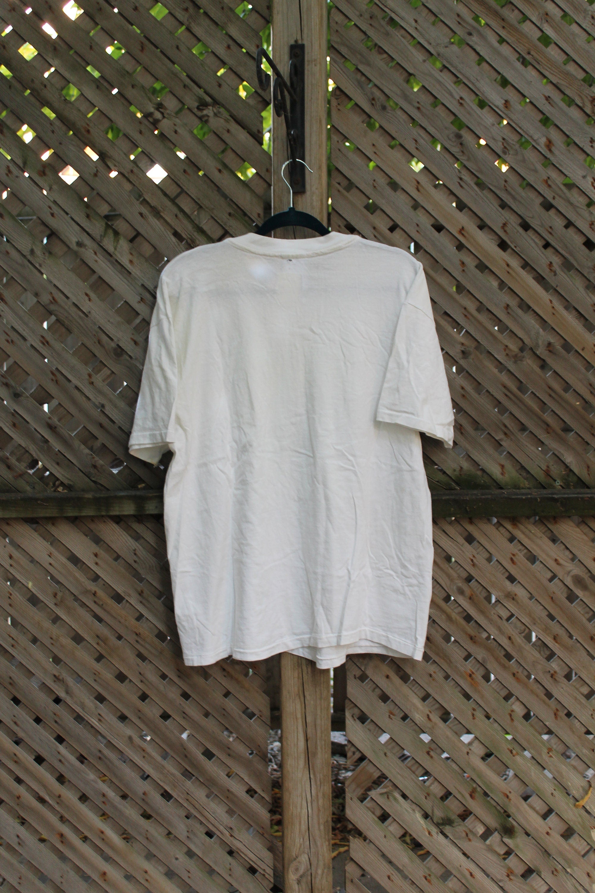 Vintage 1990s Rawlins Cross Living River T-Shirt