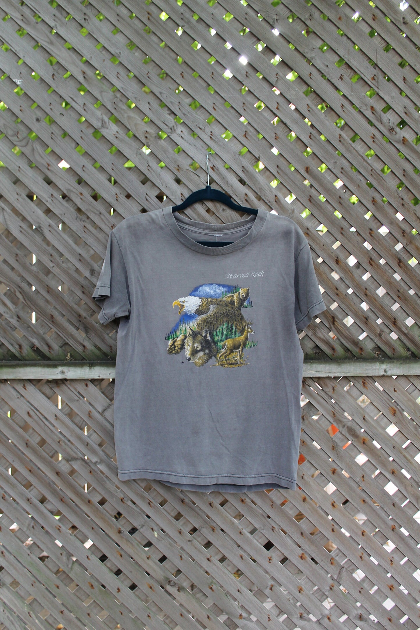 Vintage Starved Rock Souvenir T Shirt / Anima Graphic / Wilderness Tee / Starved Rock / Outdoorsman / American Wilderness / Eagle