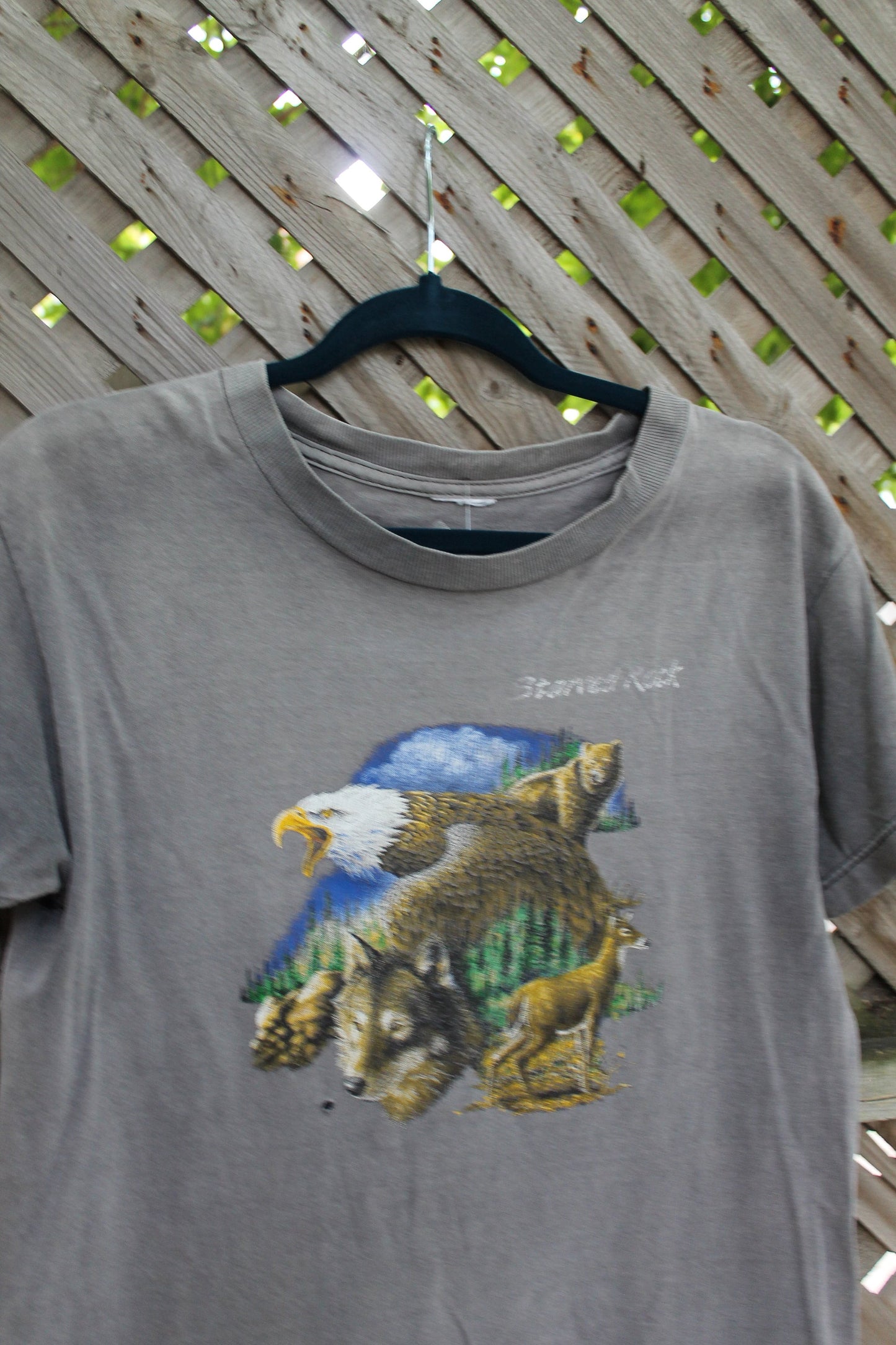 Vintage Starved Rock Souvenir T Shirt / Anima Graphic / Wilderness Tee / Starved Rock / Outdoorsman / American Wilderness / Eagle