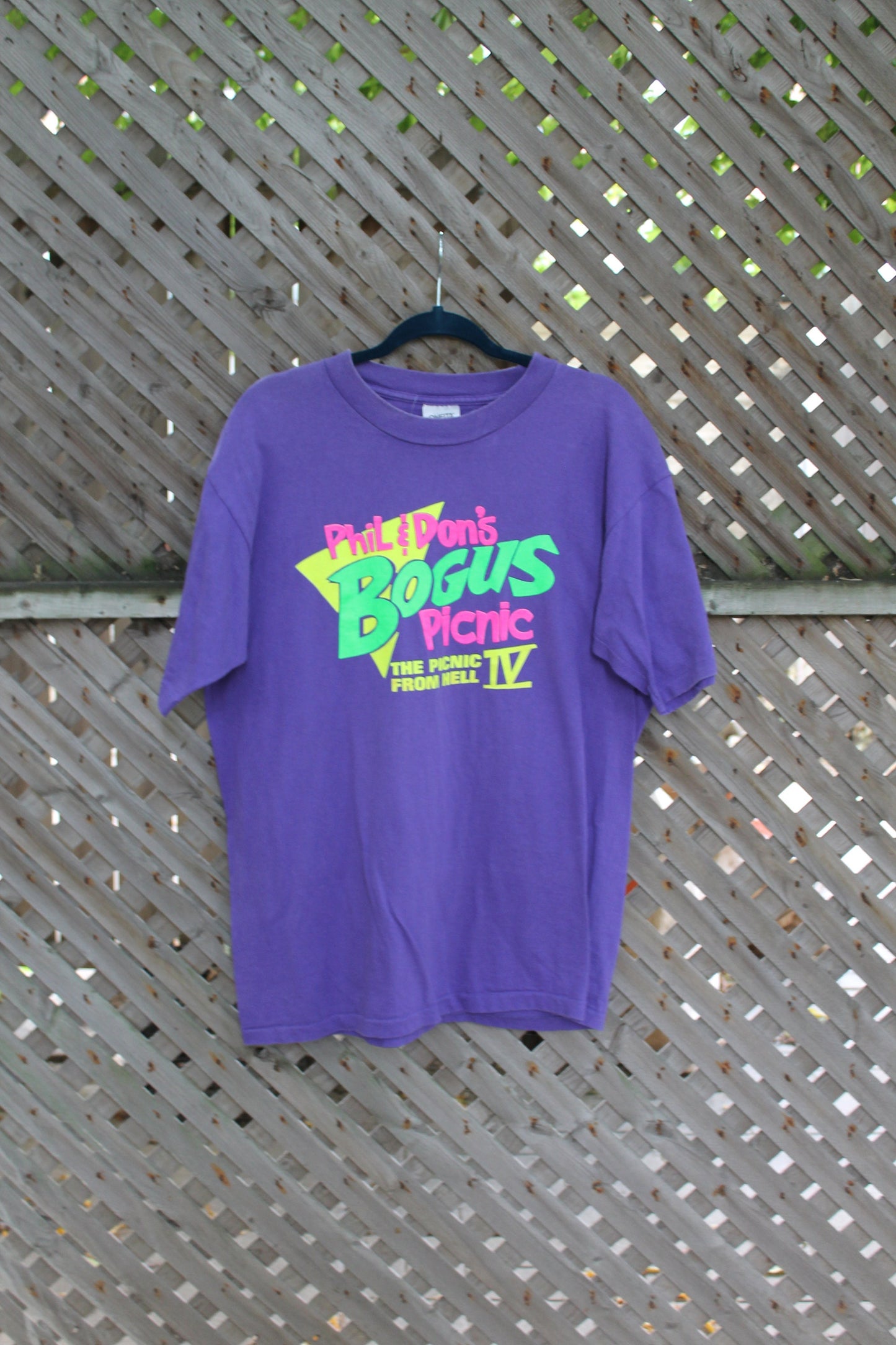 Vintage 1990s Phil and Don's Bogus Picnic T Shirt / The Picnic From Hell / Single Stitch / Graphic Tee / Made In USA / 90s Shirt