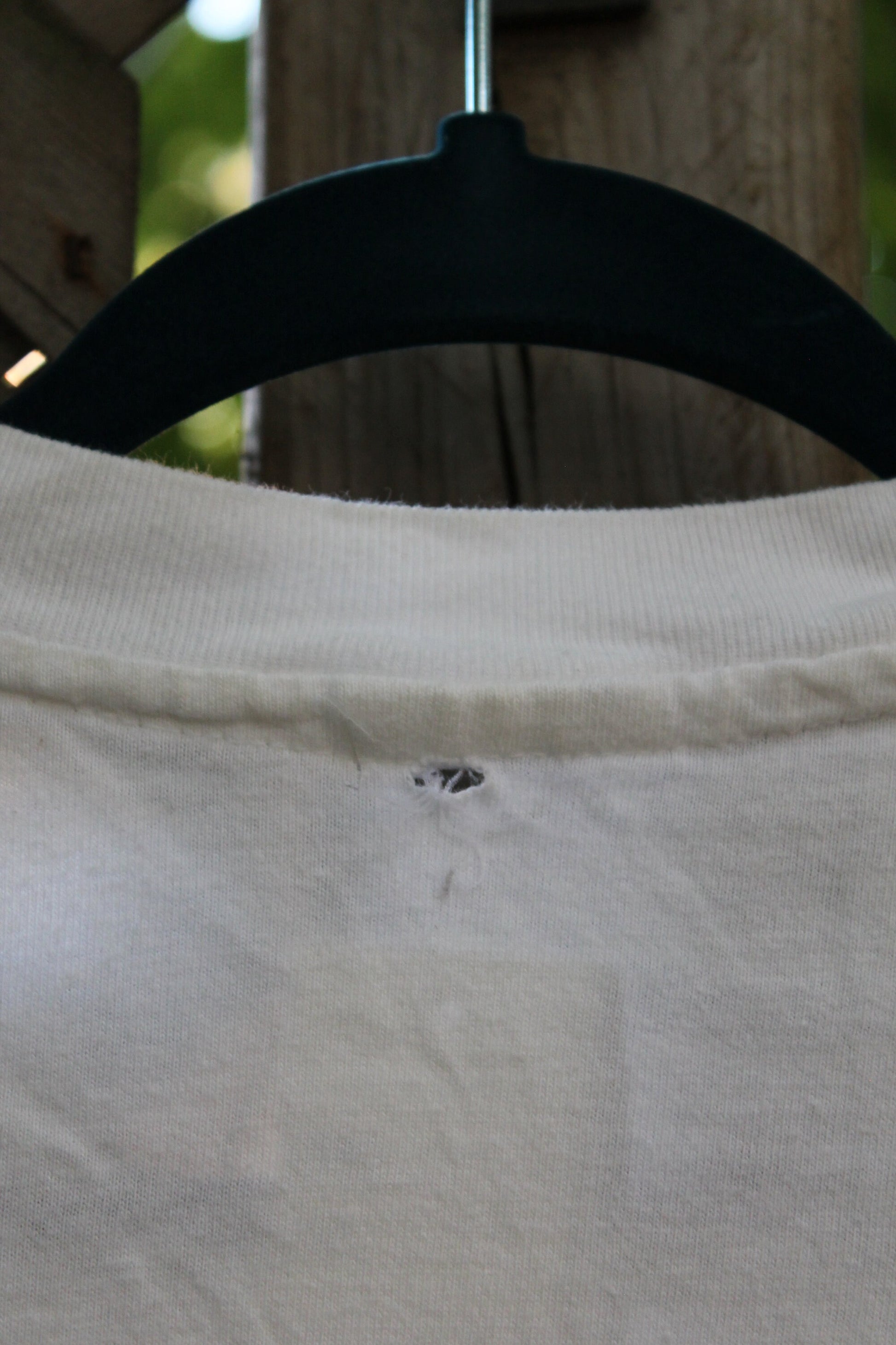 Vintage 1990s Rawlins Cross Living River T-Shirt