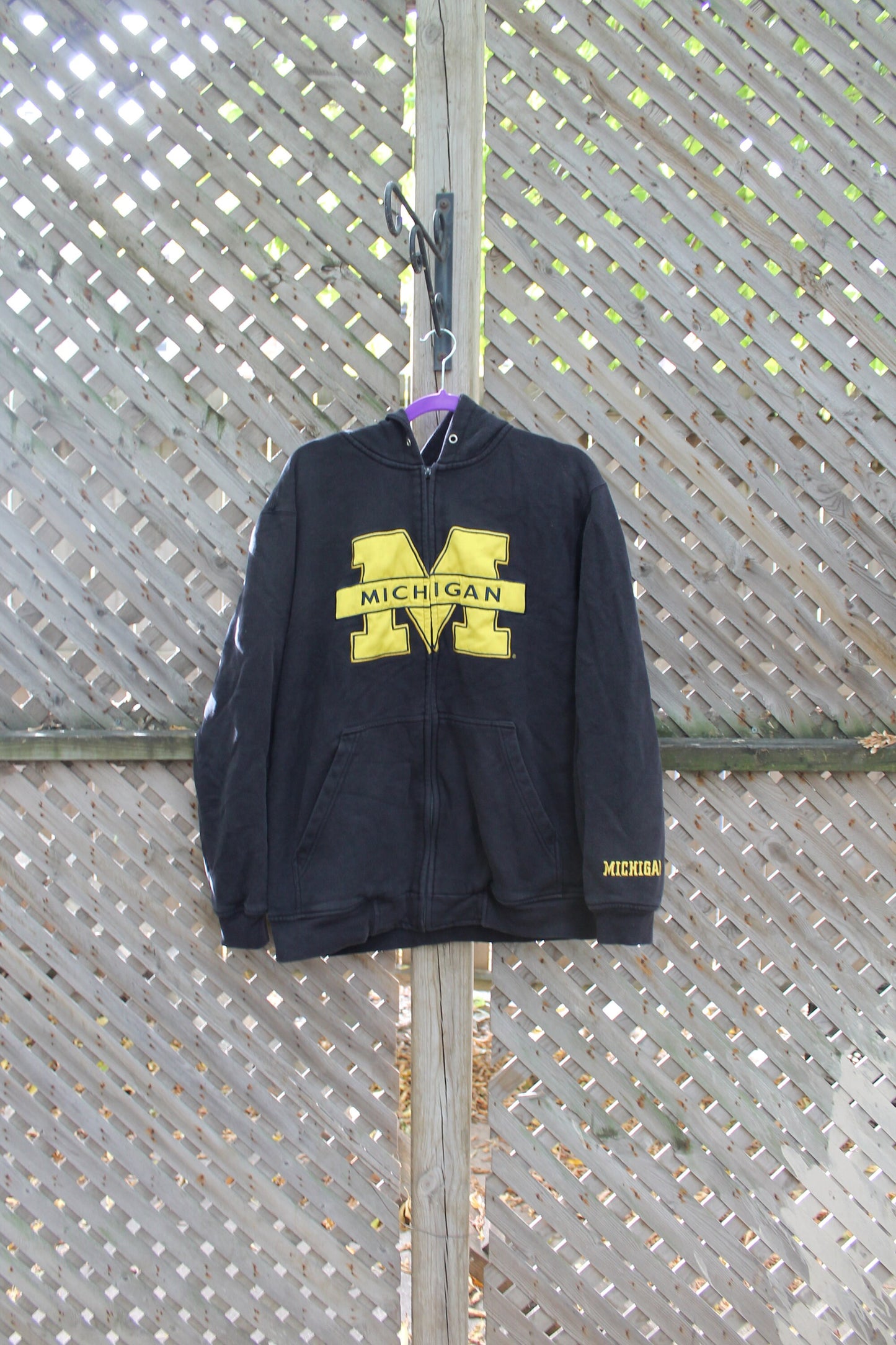 Vintage 1990s University Of Michigan Wolverines Hoodie / Varsity Football / Champs / Full Zip Sweatshirt / Collegiate Sweater / Vintage NCAA