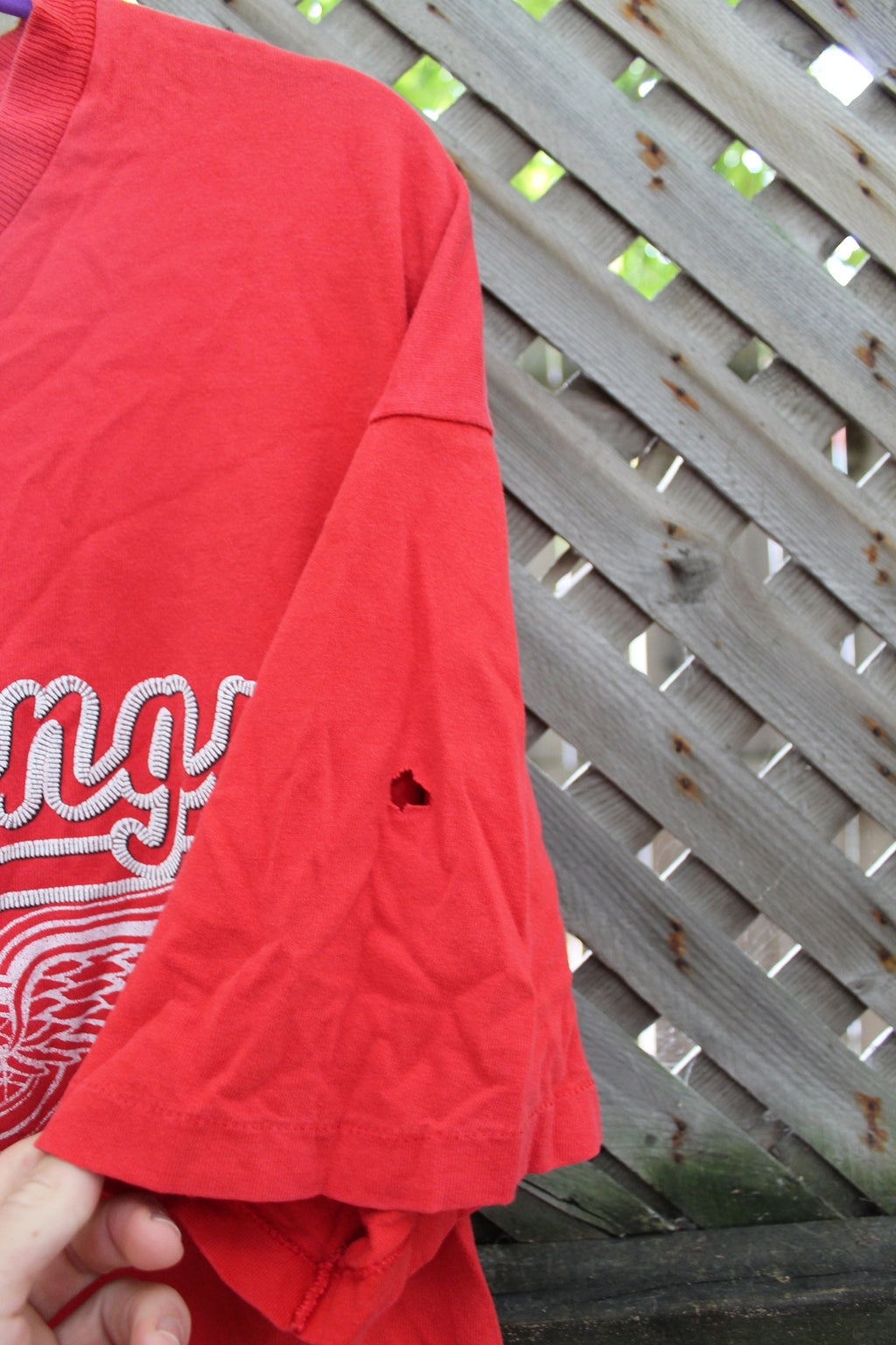 Vintage 1990s Detroit Red Wings NHL T Shirt