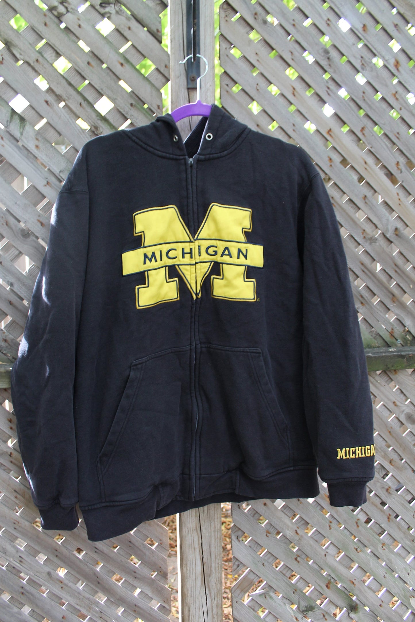 Vintage 1990s University Of Michigan Wolverines Hoodie / Varsity Football / Champs / Full Zip Sweatshirt / Collegiate Sweater / Vintage NCAA