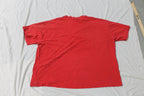 Vintage 1990s Detroit Red Wings NHL Hockey Graphic T Shirt