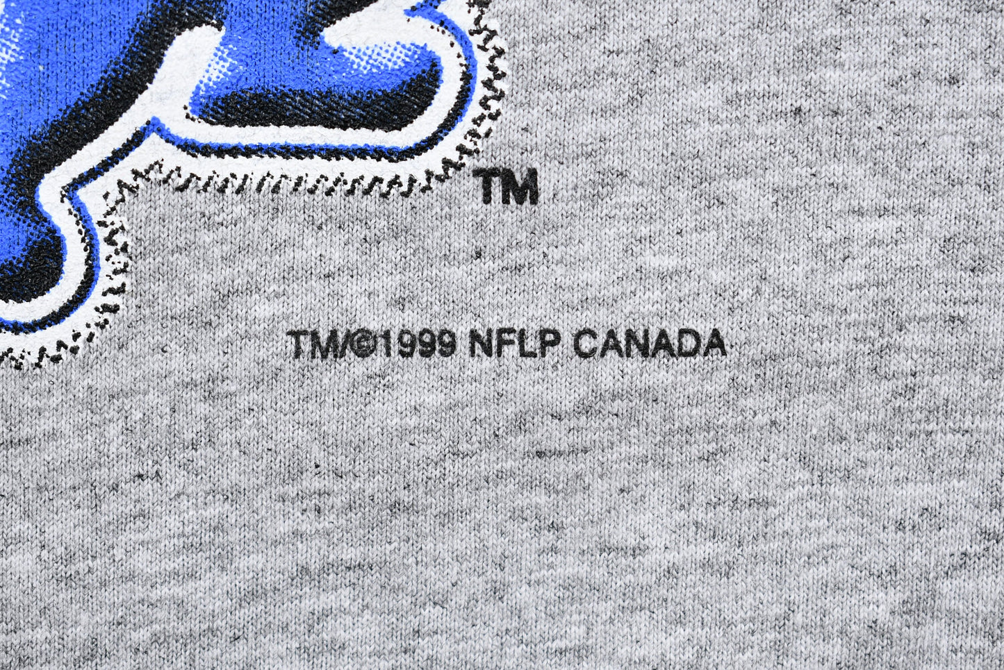 Vintage 1999 Detroit Lions T-Shirt / Single Stitch / NFL / 90s Streetwear / Football / Athleisure / Sportswear