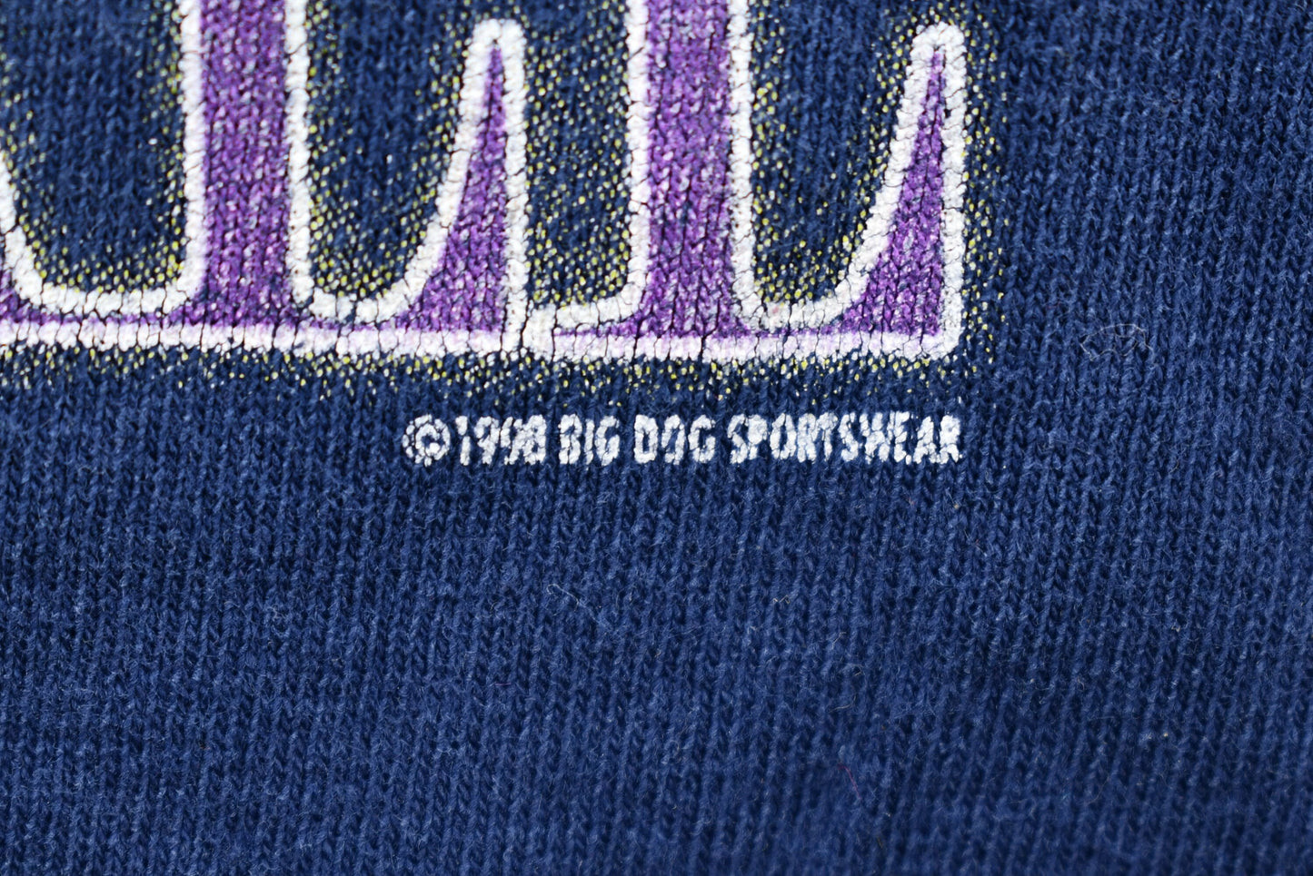 Vintage 1998 Distressed Big Dog Sportswear Graphic T-Shirt / 90s Streetwear / Retro Style / Vintage Athleisure / Athleticwear