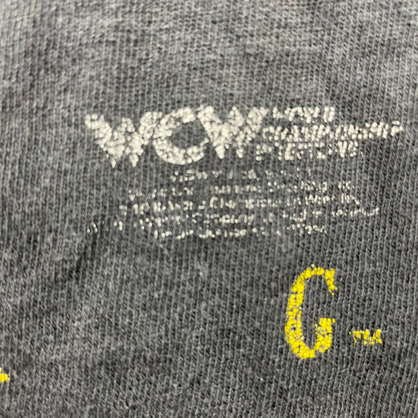 Vintage 90's WCW Goldberg Wrestling T-Shirt