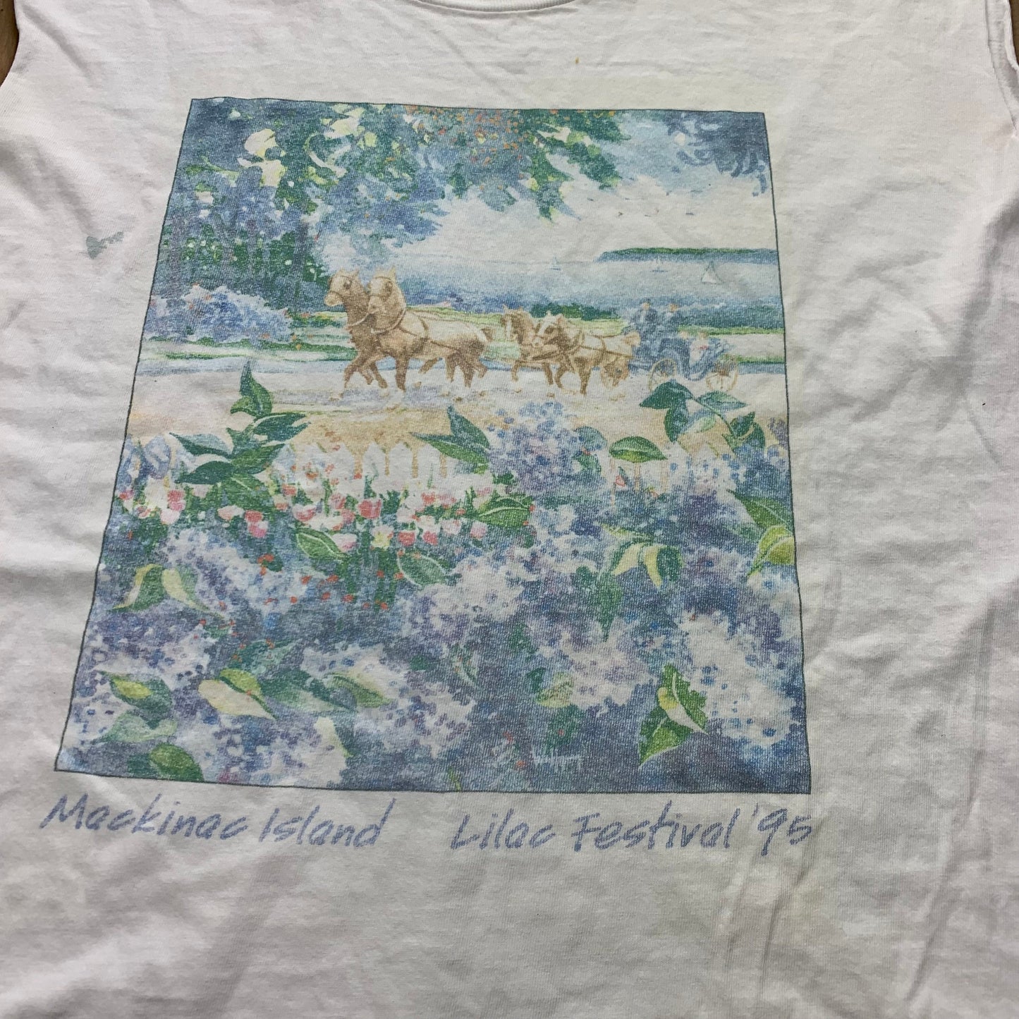 Vintage Mackinac Island T-Shirt / Distressed / Nature / Cute Animals / American Streetwear / Single Stitch / Made In USA