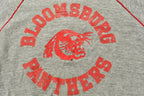 Vintage 1960s University of Bloomsburg Panthers Collegiate Hoodie