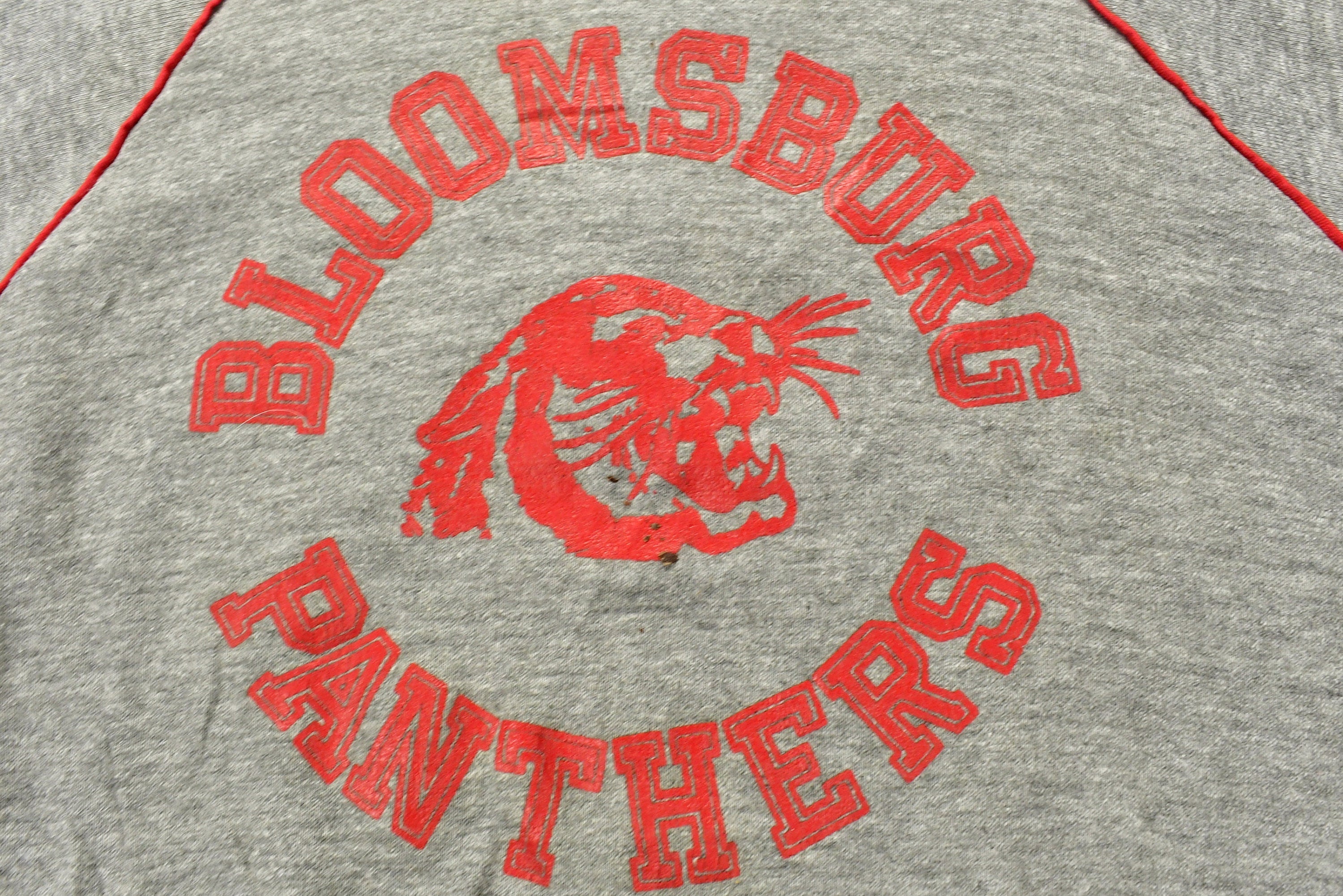 Vintage 1960s University of Bloomsburg Panthers Collegiate Hoodie