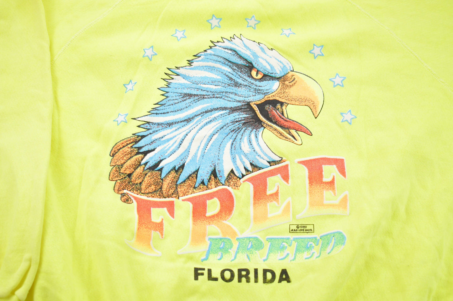 Vintage 1989 Free Breed Florida Bald Eagle Crewneck Sweatshirt / 80s Crewneck / Souvenir / Athleisure / Streetwear / Animal Graphic