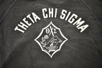 Vintage 1950s Theta Chi Sigma Champion Raglan Crewneck Sweatshirt