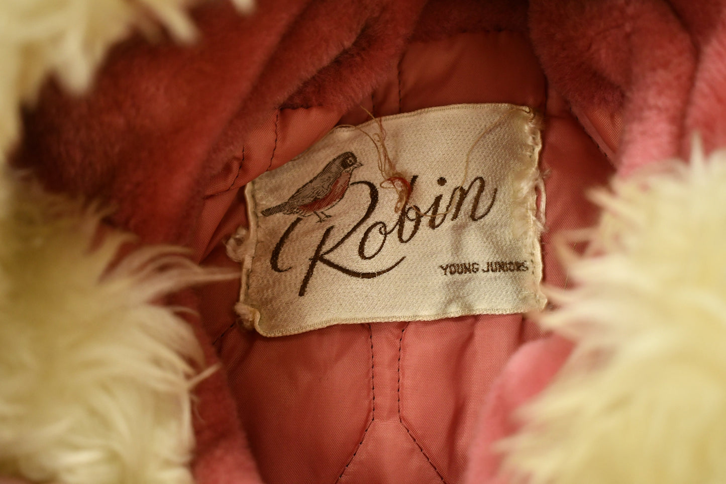 Vintage 1970s Penny Lane Embroidered Shearling Coat By Robin / Winter Outerwear