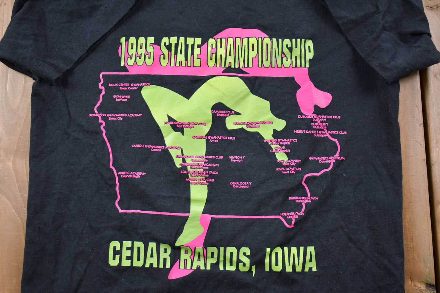 Vintage 1995 Iowa State Championship T-Shirt