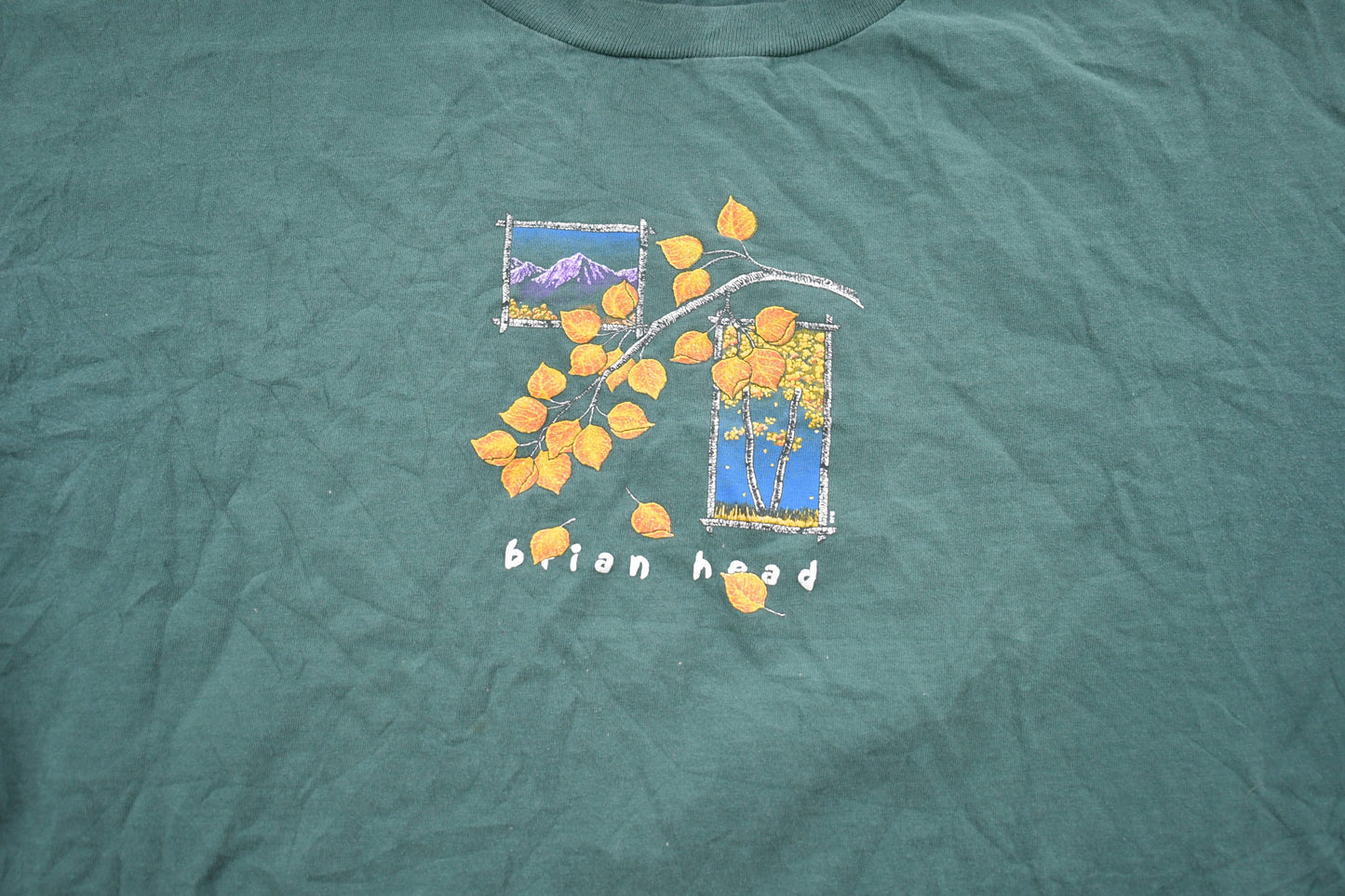 Vintage 1990s Brian Head Prairie Mountain T-Shirt