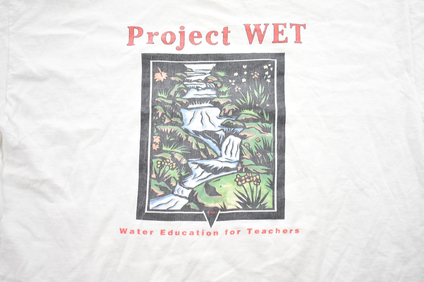 Vintage 1990s Project Wet Graphic T-Shirt / Graphic / 80s / 90s / Streetwear / Retro Style / Teacher Education / Made In USA