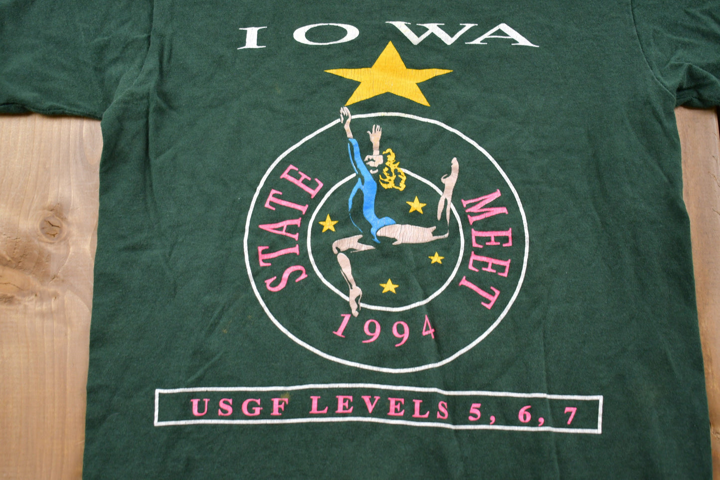 Vintage 1994 Iowa State Meet T-Shirt